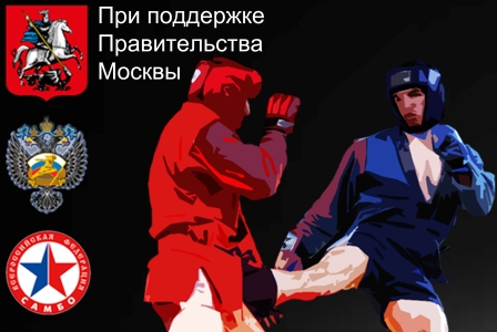 спортивное шоу Кубок России по боевому самбо
