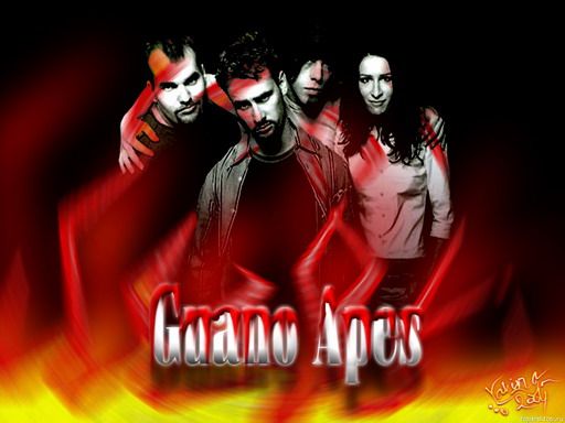 концерт Guano Apes