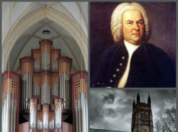 концерт «И. С. Бах и французская органная музыка»