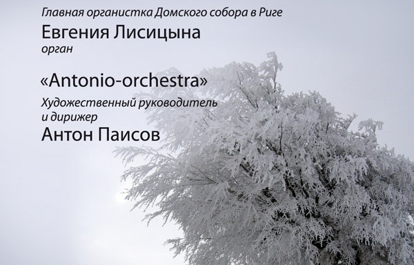 концерт «Органная музыка: Бах, Вивальди (Времена года)»