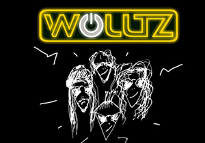 концерт Wolltz