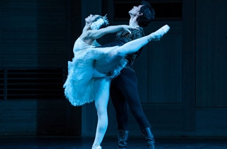 балет Звезды мирового балета