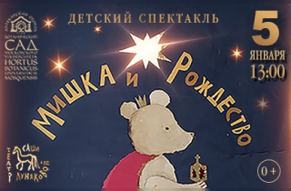 новогодний спектакль Спектакль "Мишка и Рождество"