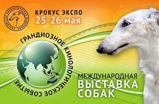 выставка Международная выставка собак