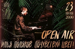 концерт Open air. Илья Поляков